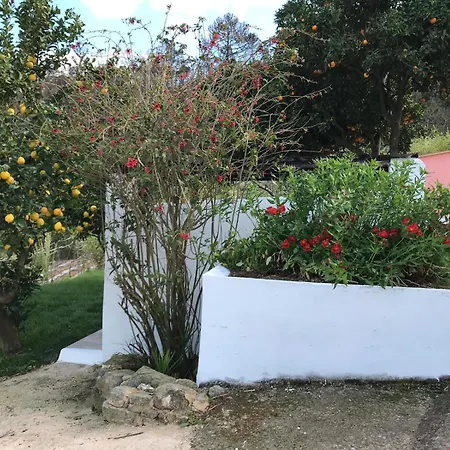 Casas Bemposta Monchique